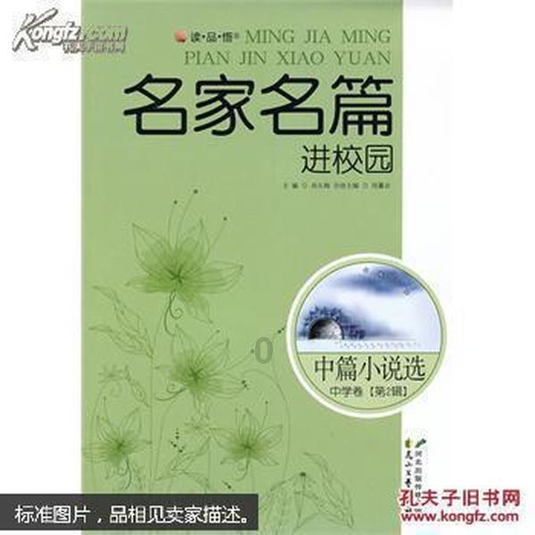 拯救受伤的猫